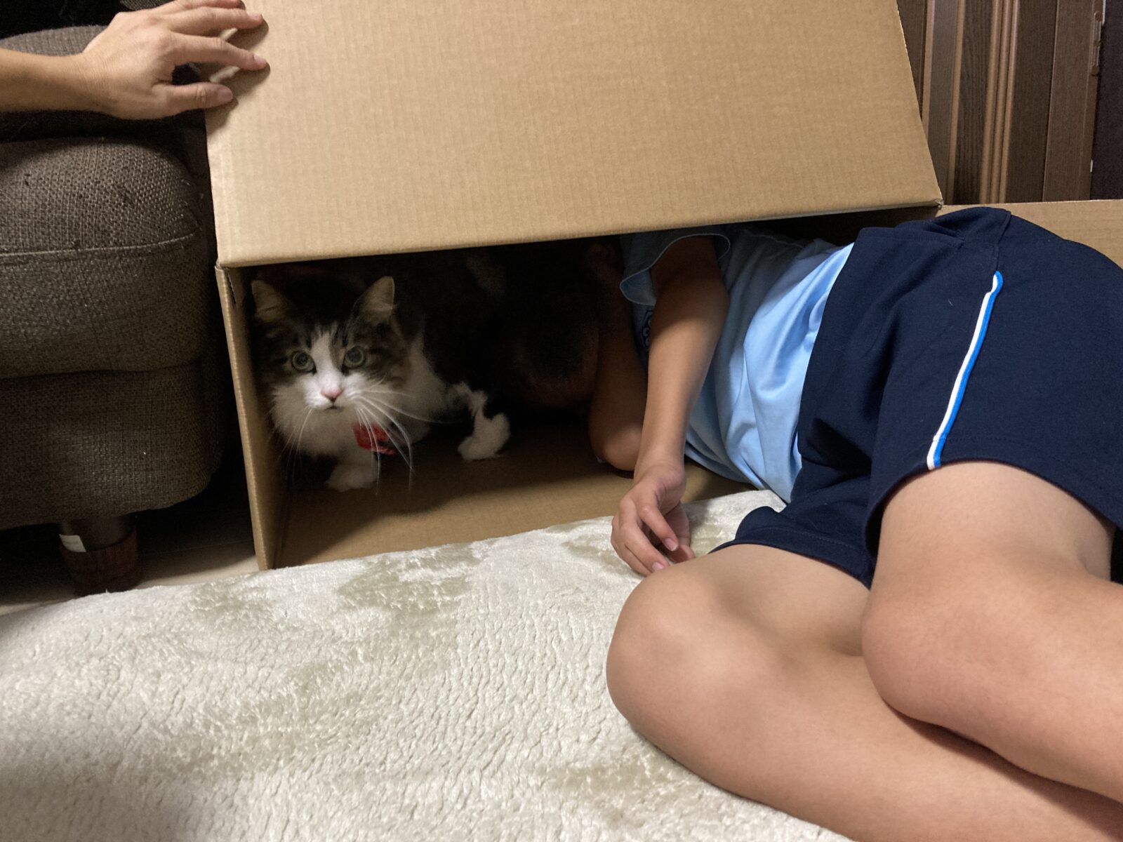 冬の準備