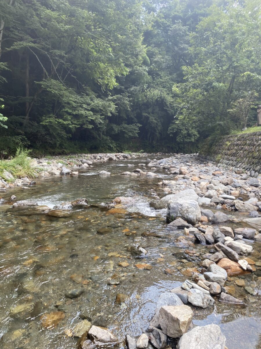 涼みに