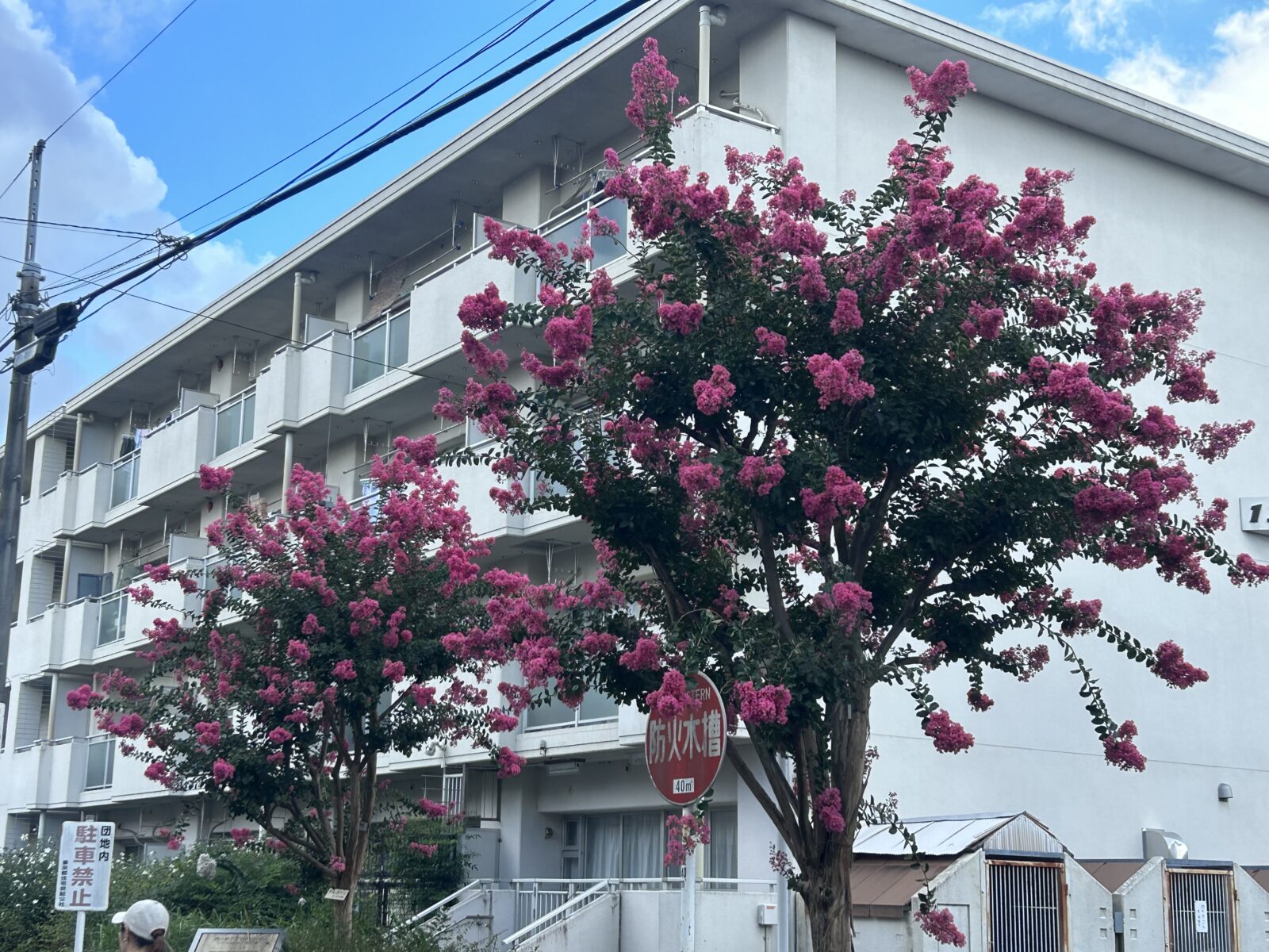 天気