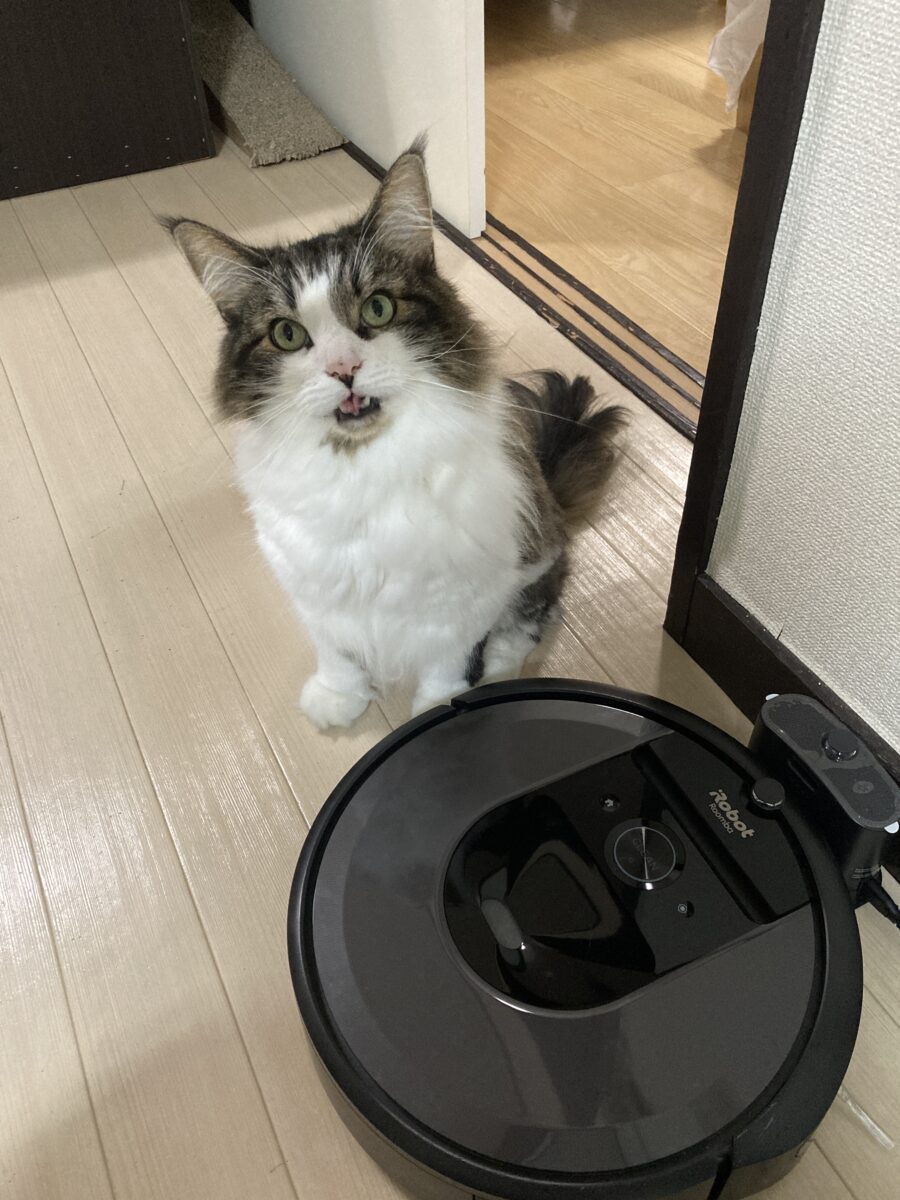 新たな相棒😊