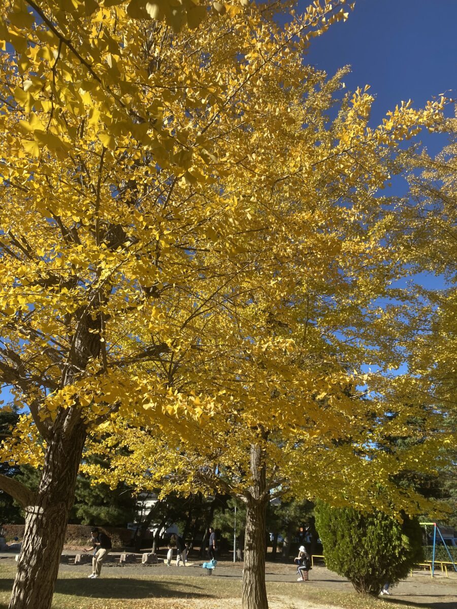 芸術の秋