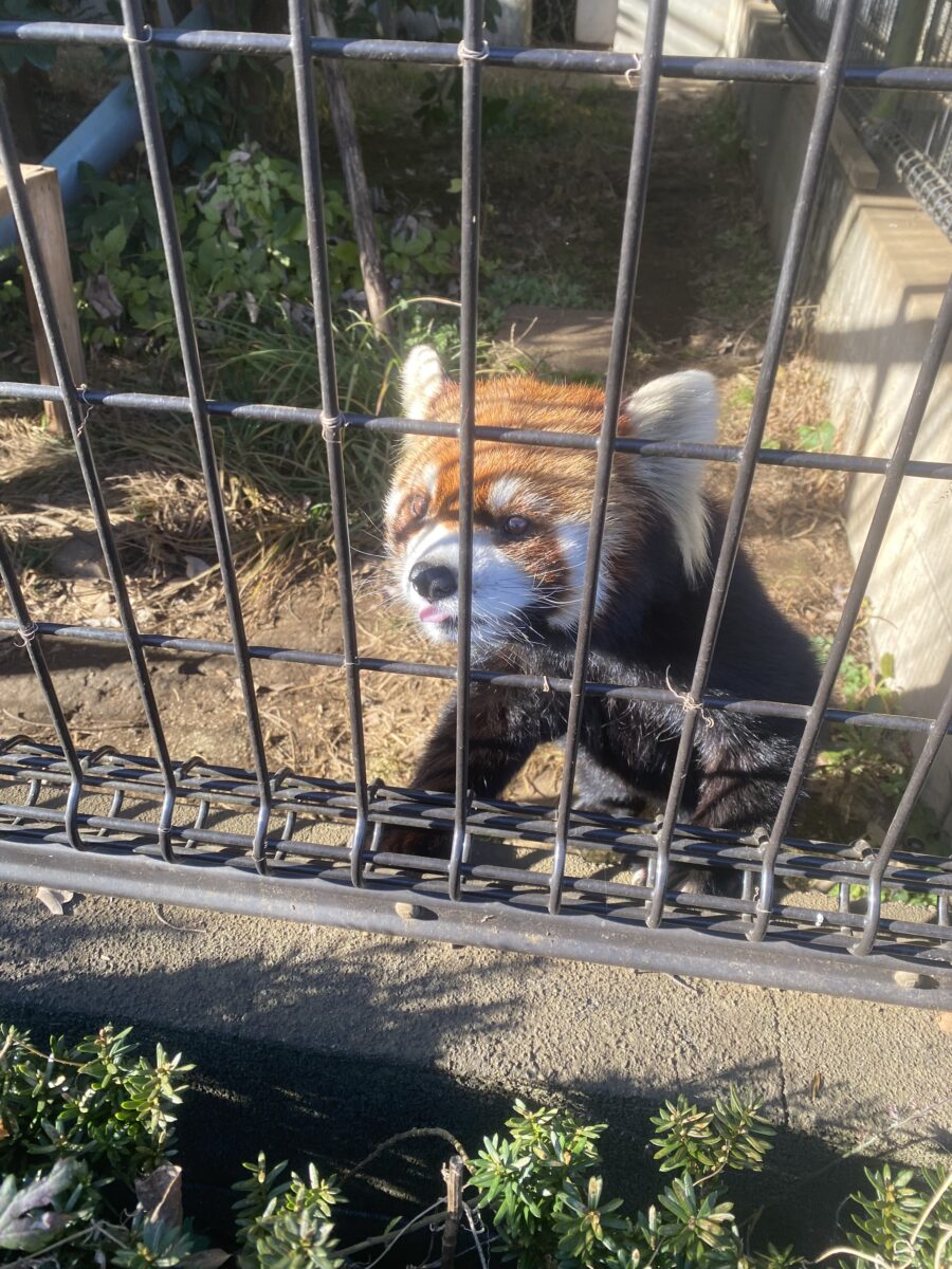 動物園