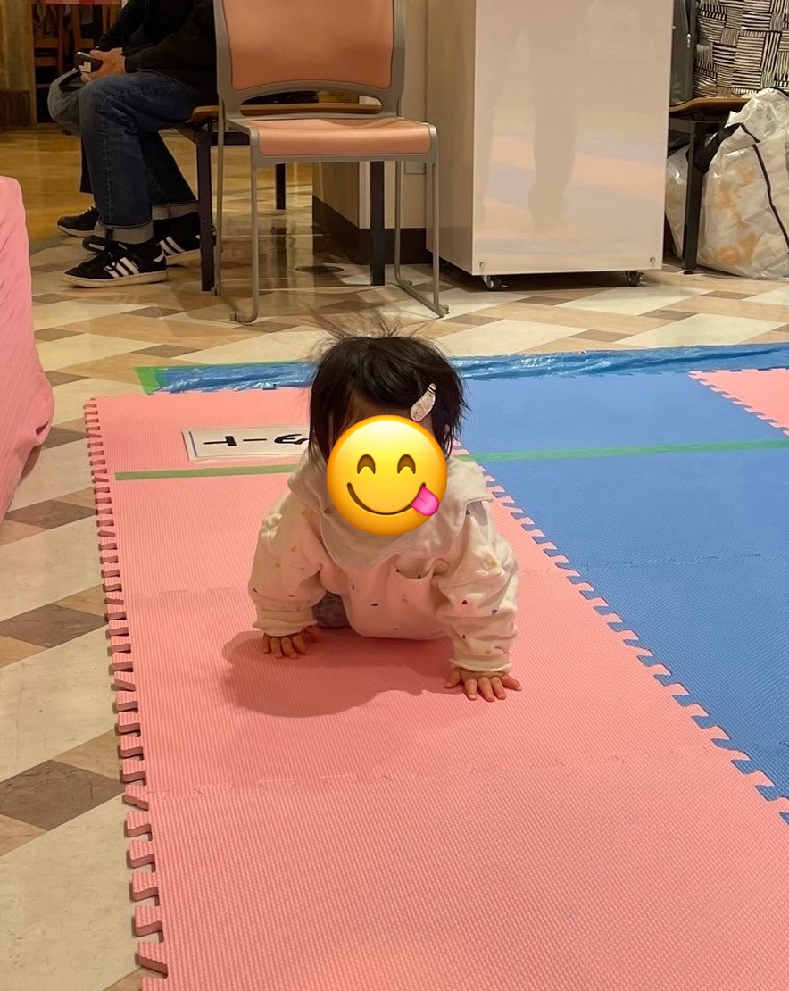 ハイハイレース