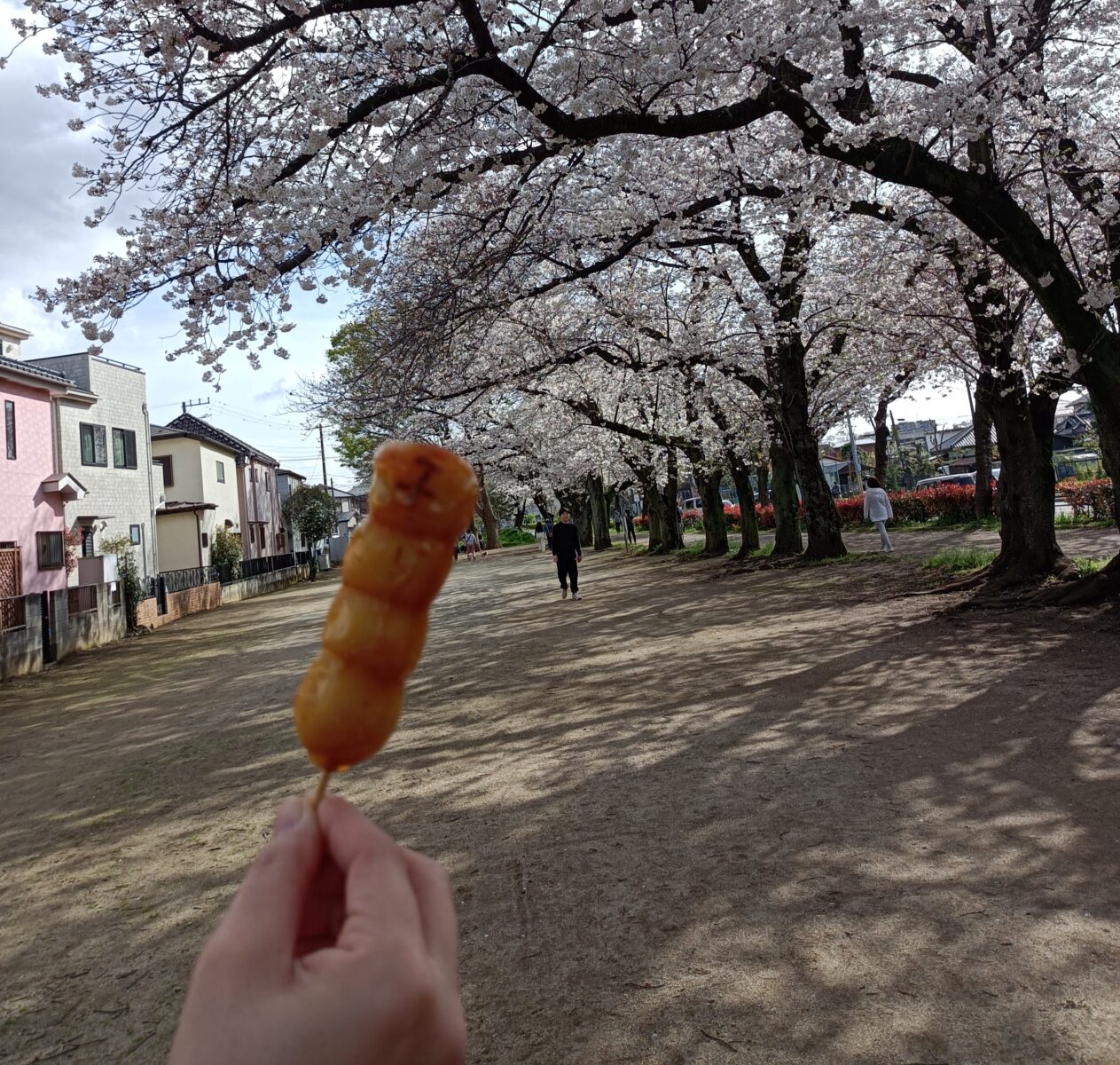 お花見🌸