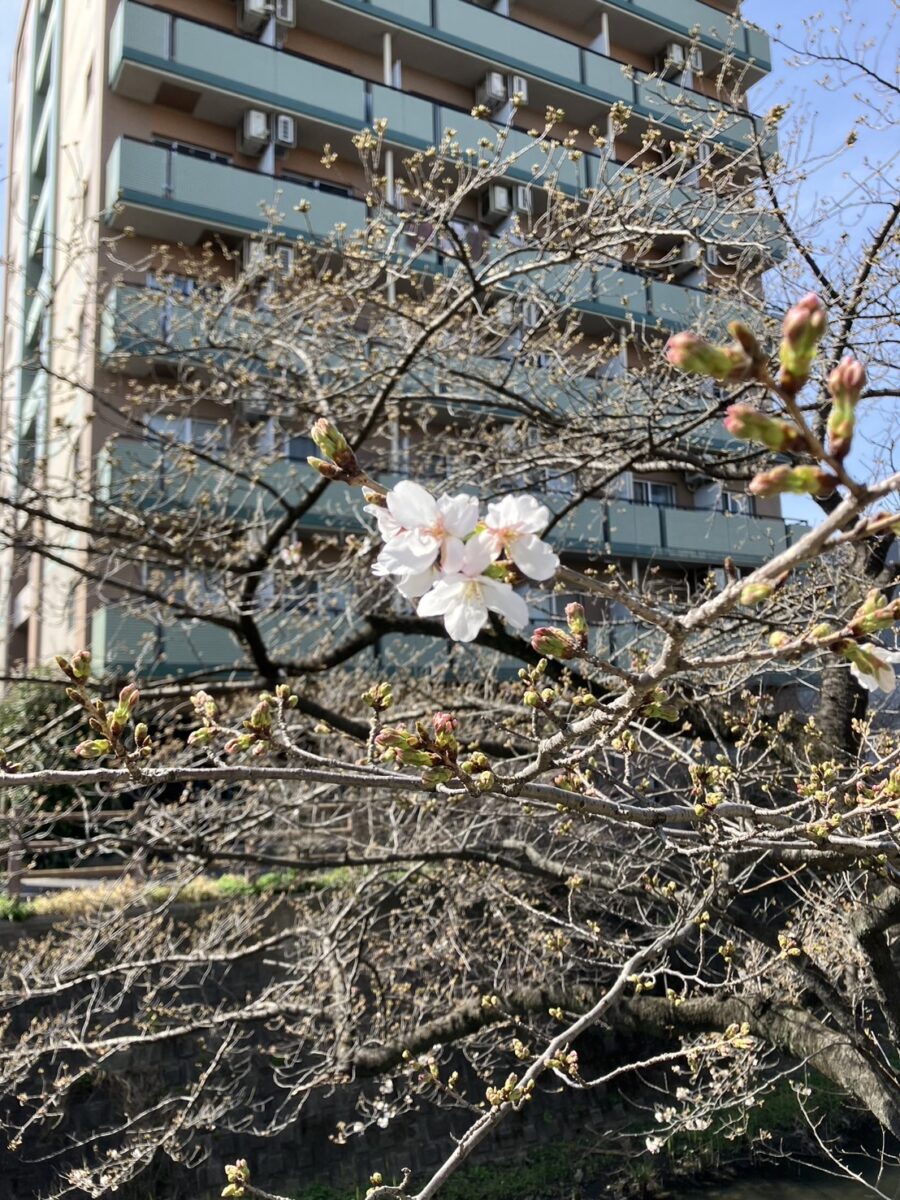新生活
