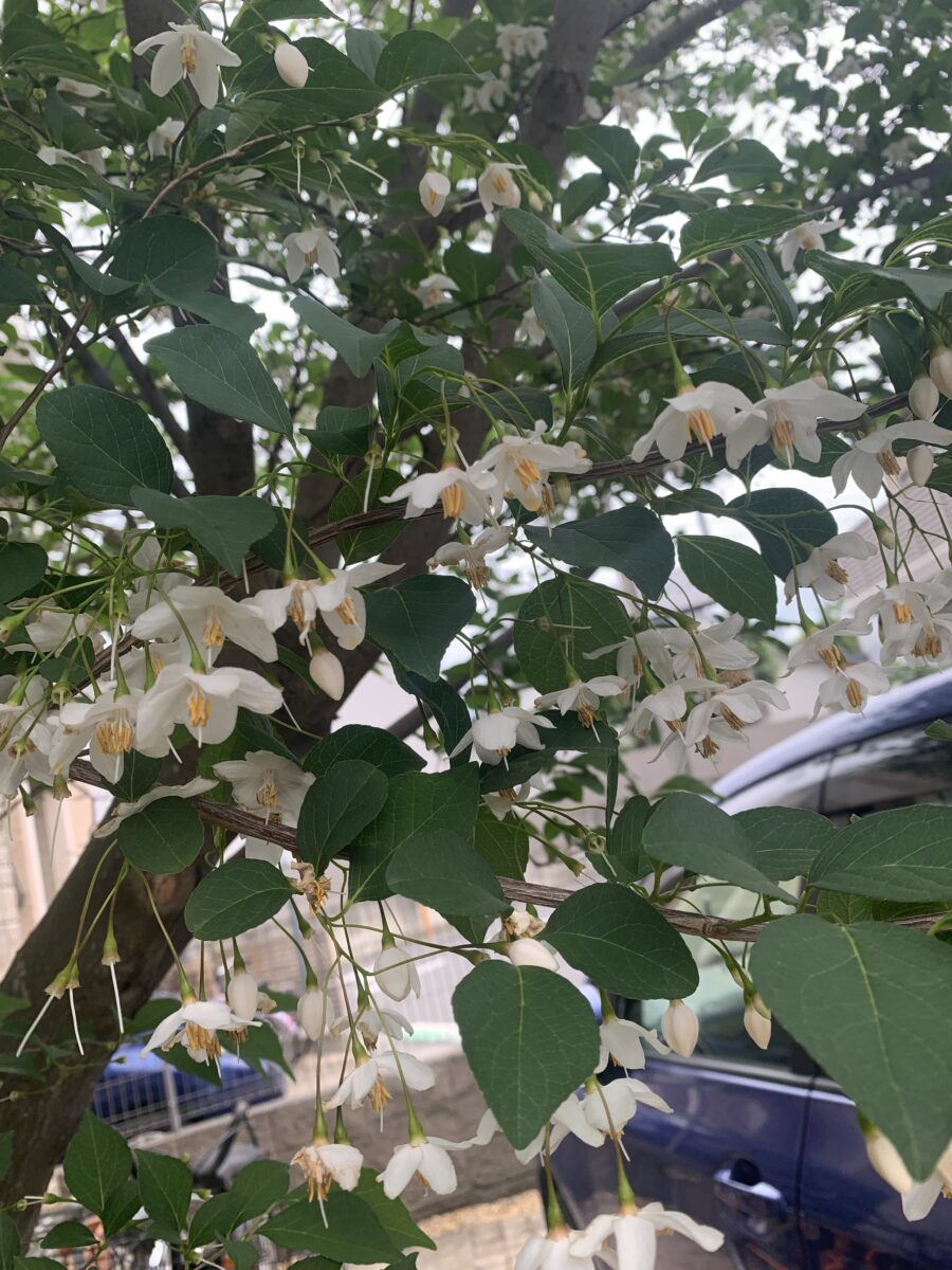 日常へ。。。。