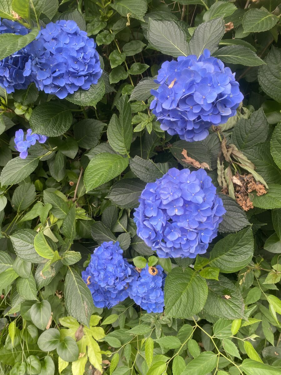 続く関係