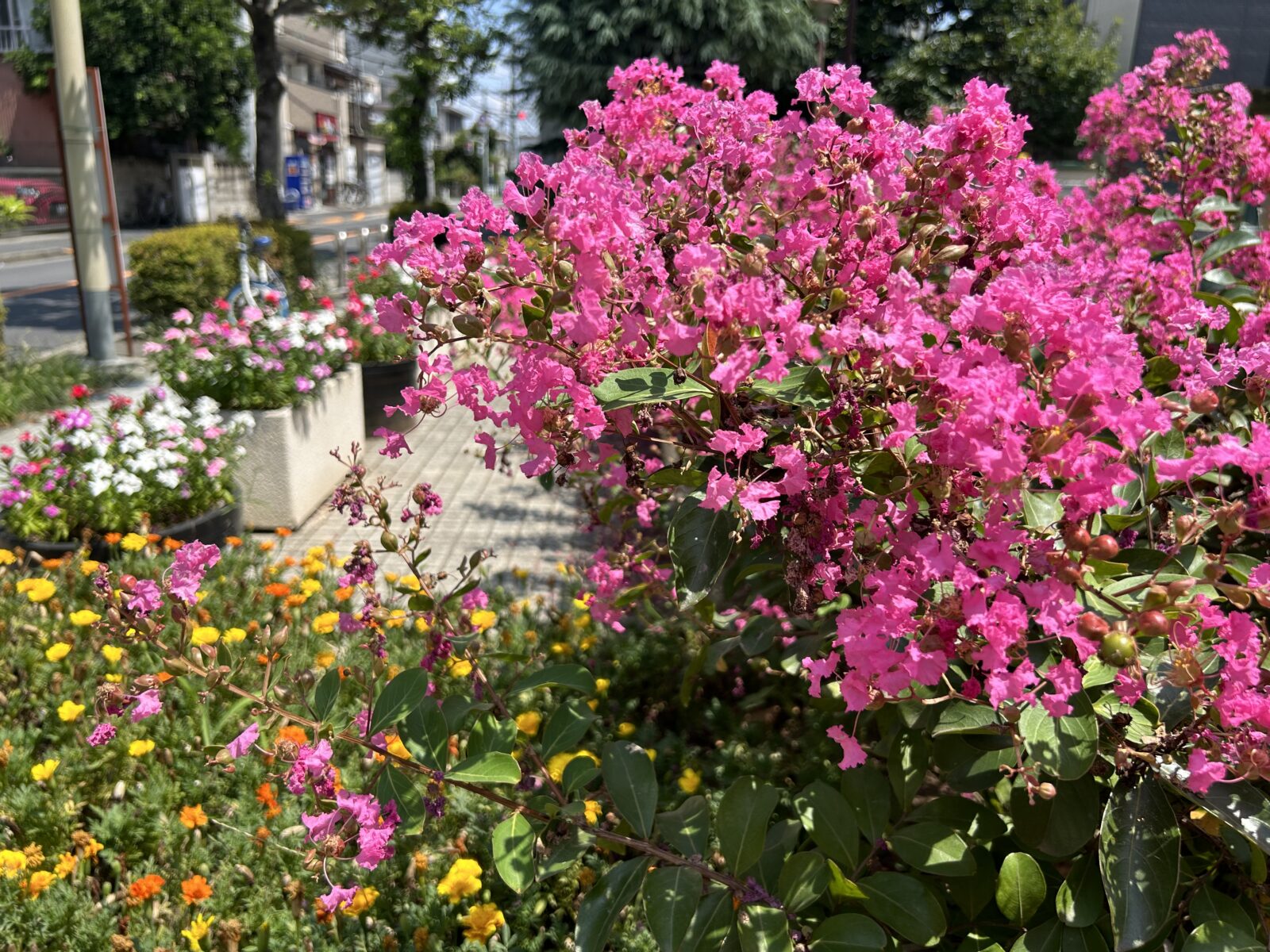 花