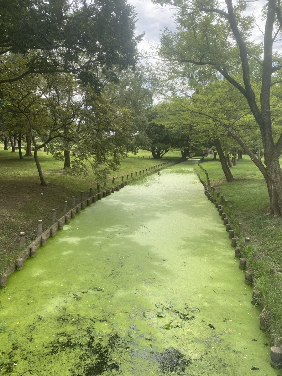 入園準備