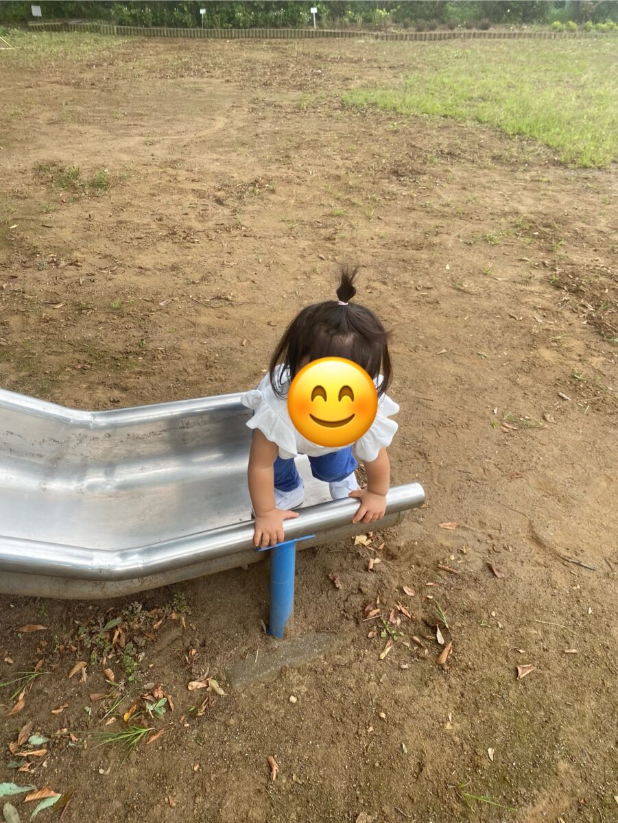 今日から