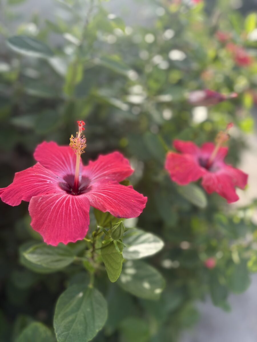 沖縄💐
