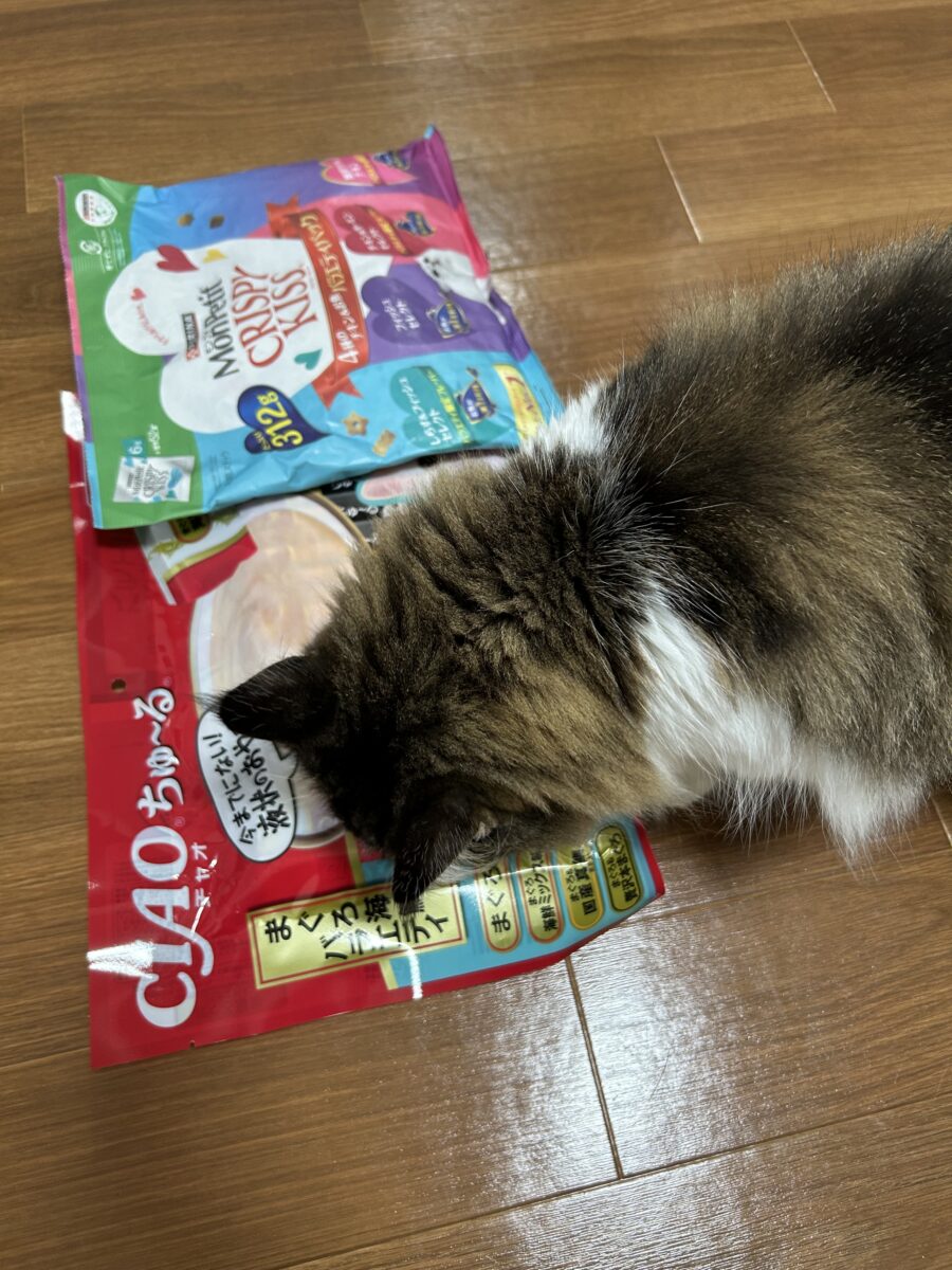 ぽんちゃんのクリスマス