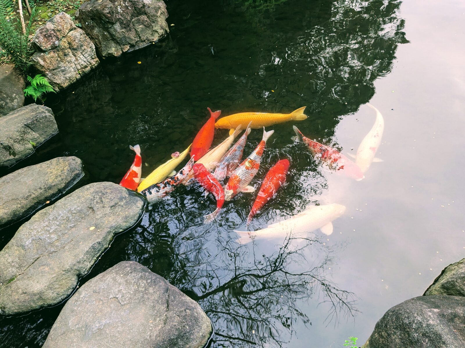 忘れてはいけない記憶