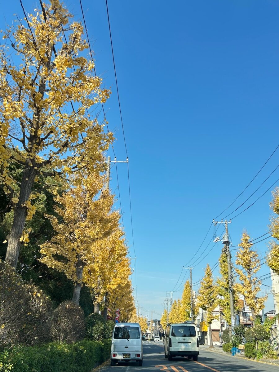 紅葉