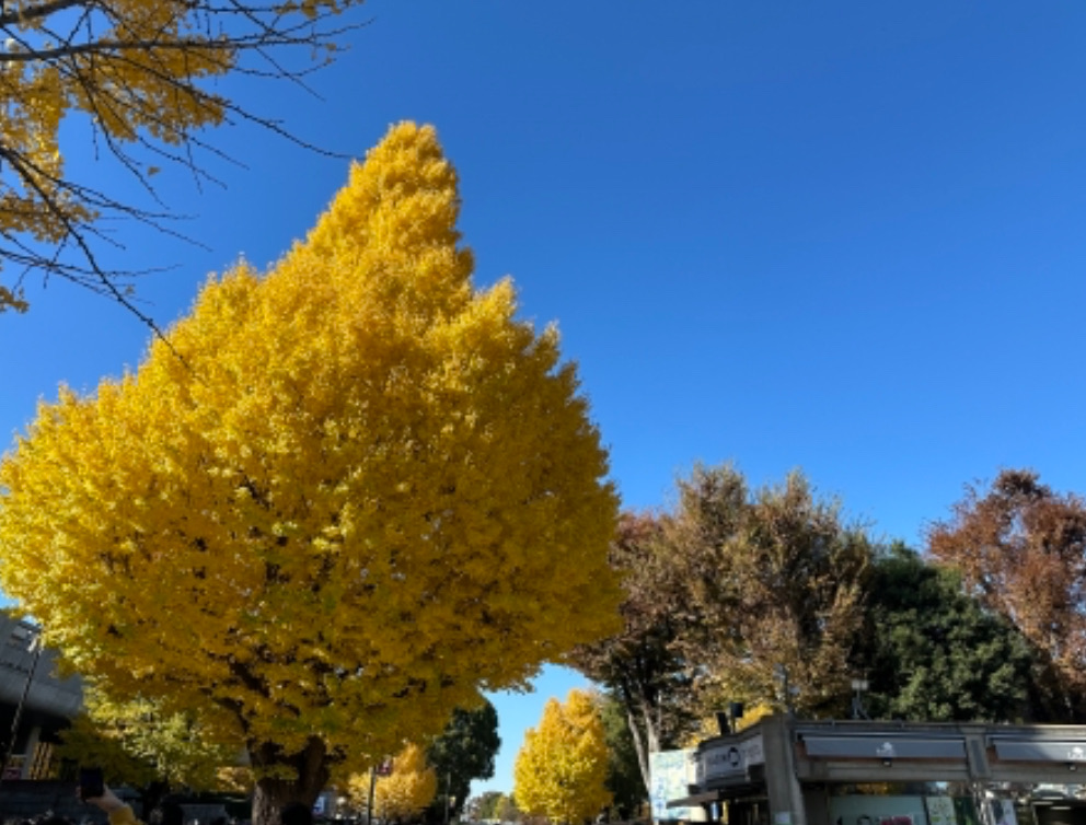 年の瀬
