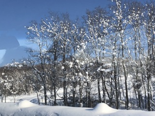 雪⛄️