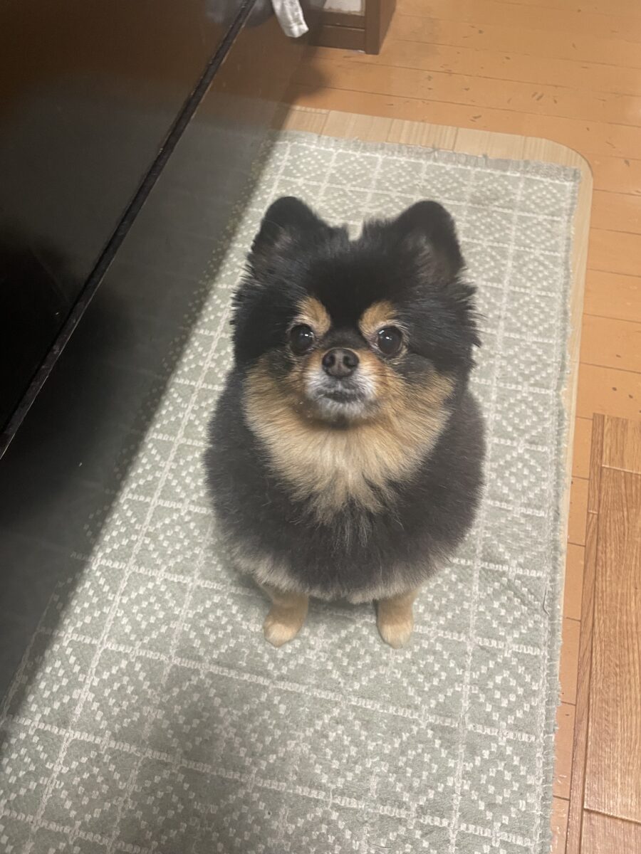 実績作業中❣️