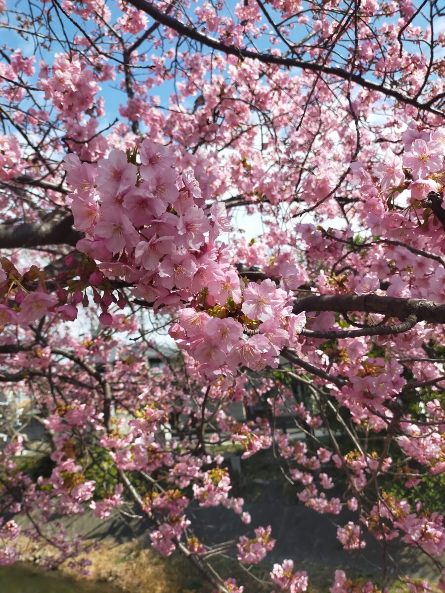 心、落ち着く