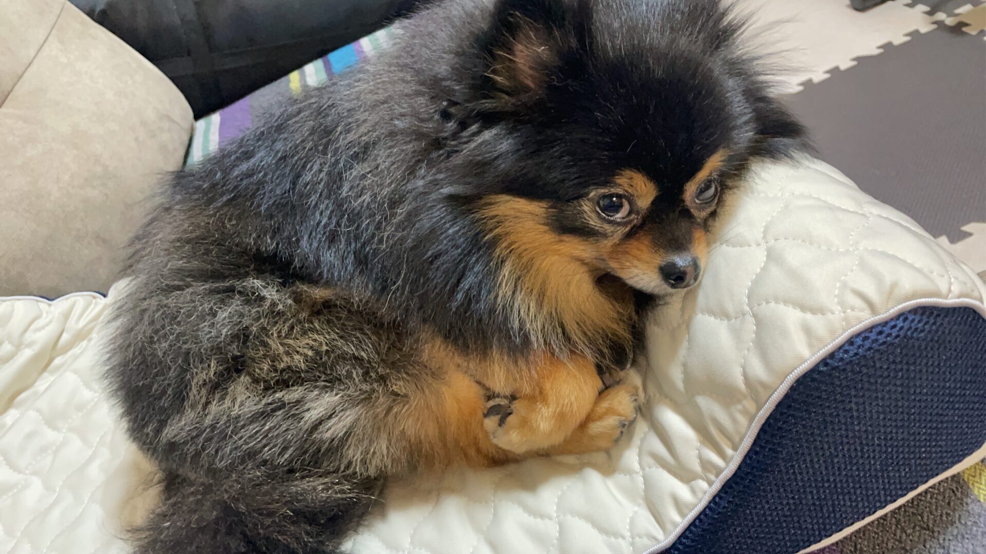 梅満開です❗️