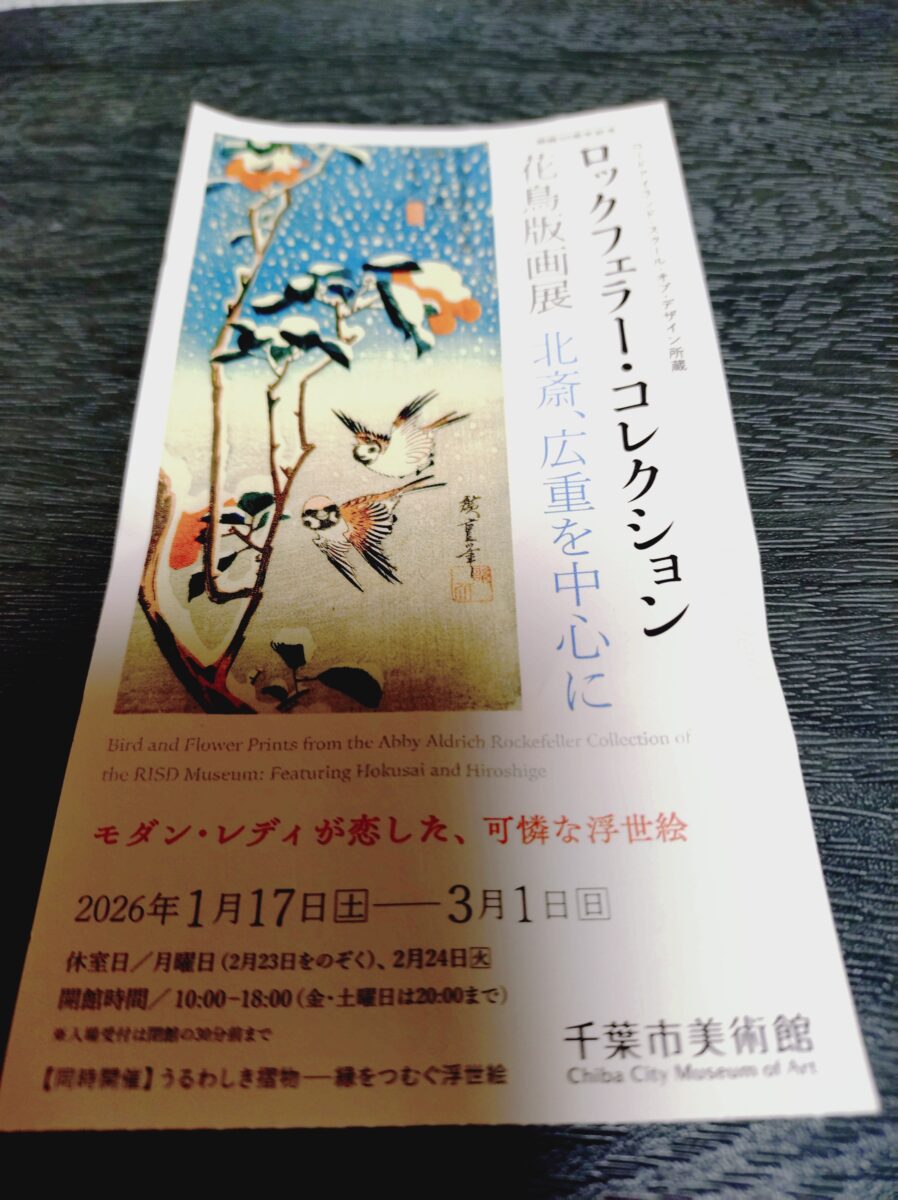 美術館🎨