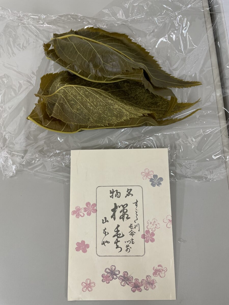 今日は