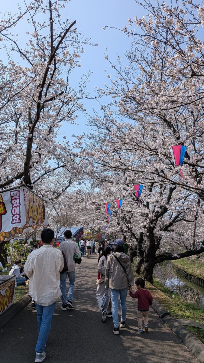 春🌸