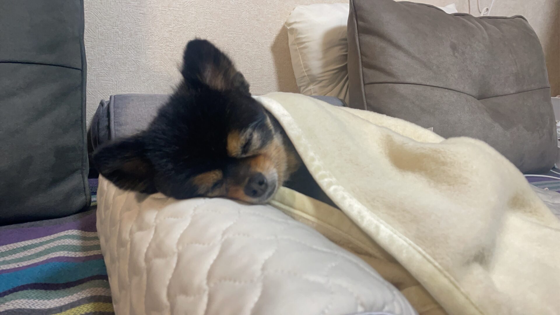 すごいんです❗️