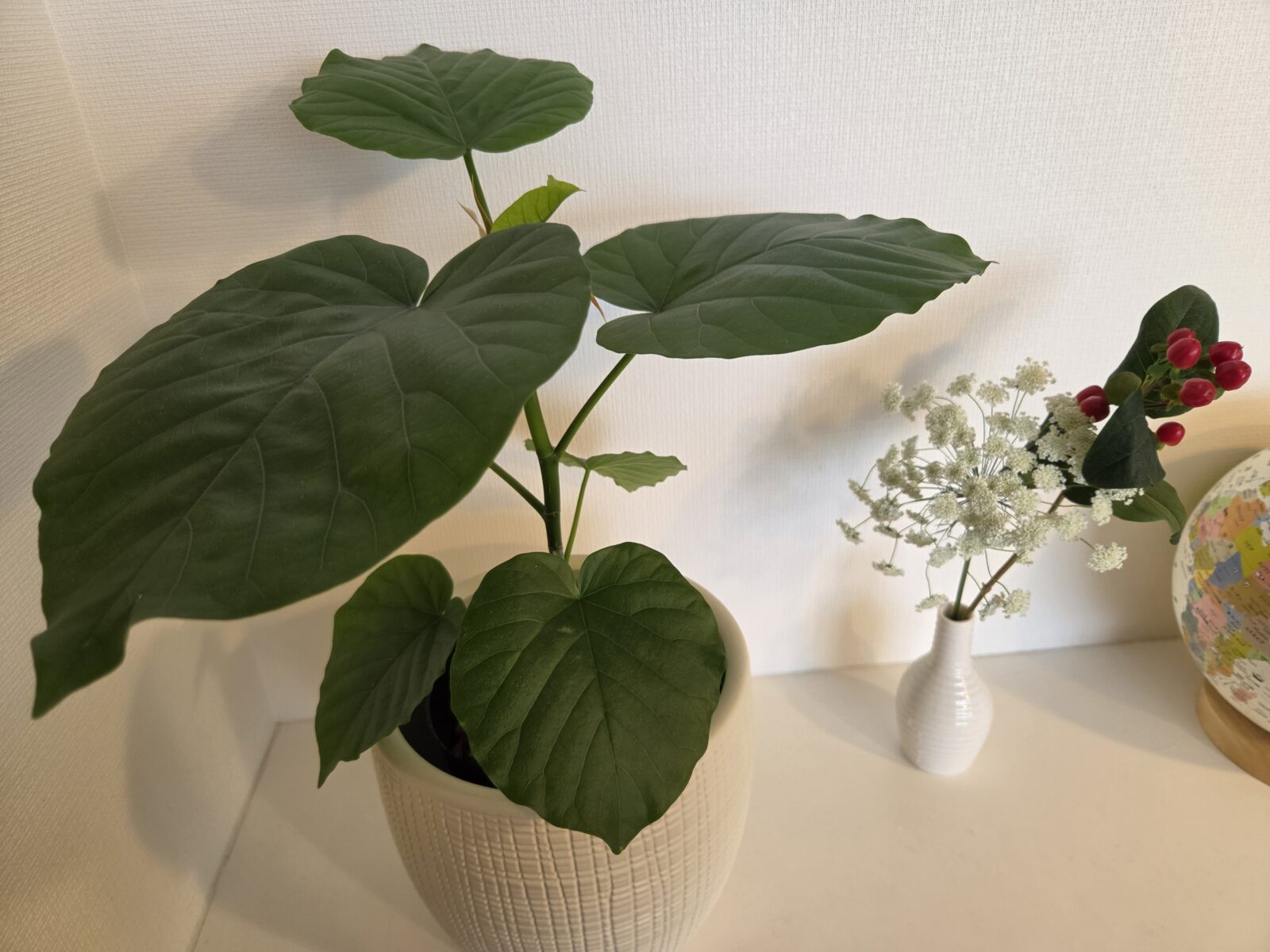 癒しの時間
